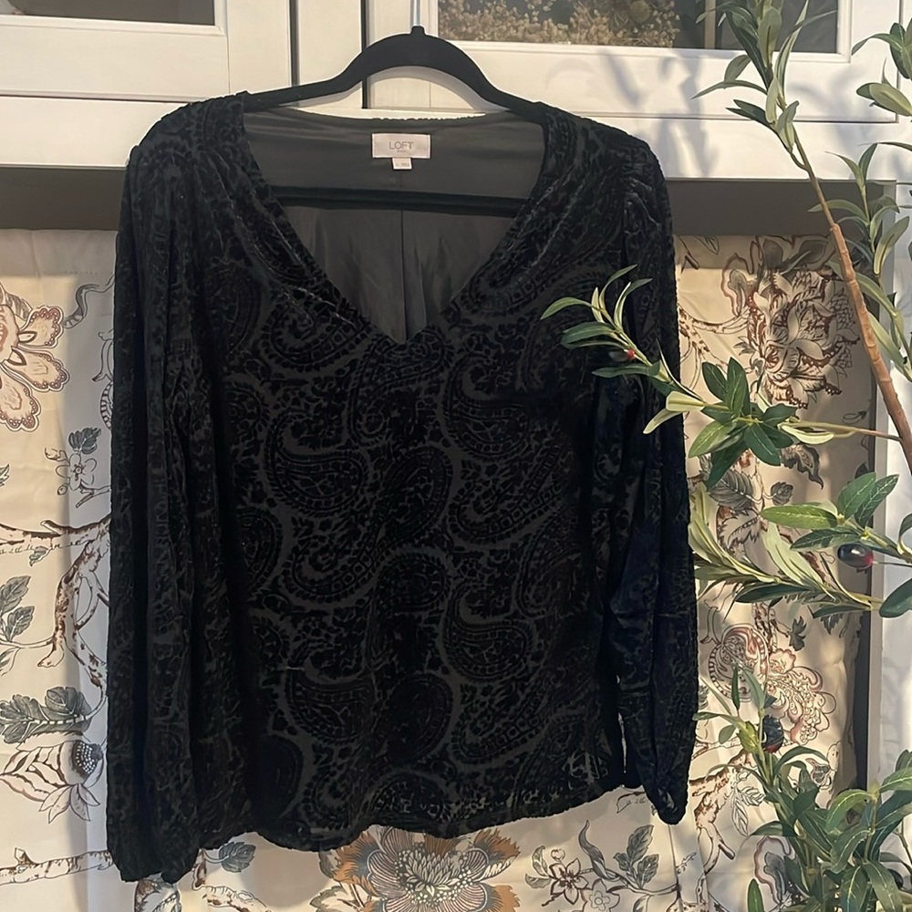 Stunning paisley top